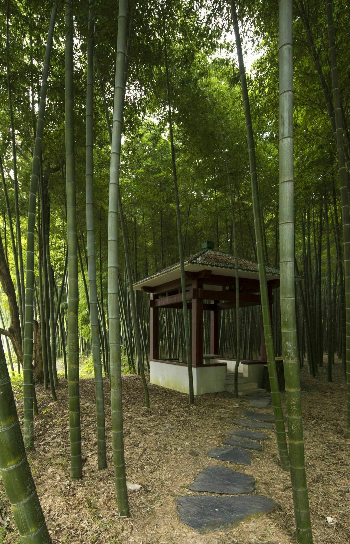Core Fire Villafound Suzhou  Exteriör bild